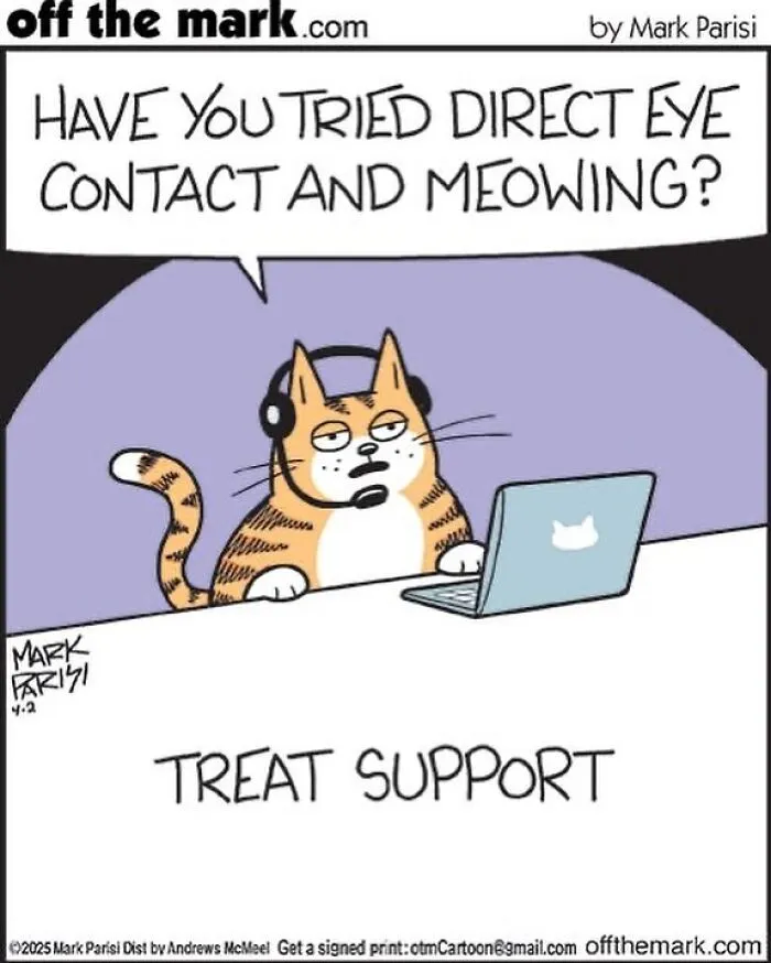This Artist Sums Up Life With A Cat In His 23 New Funny Cartoons