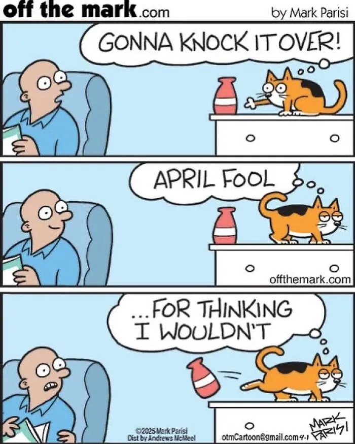 This Artist Sums Up Life With A Cat In His 23 New Funny Cartoons
