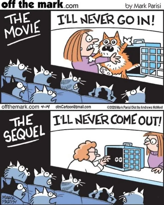 This Artist Sums Up Life With A Cat In His 23 New Funny Cartoons