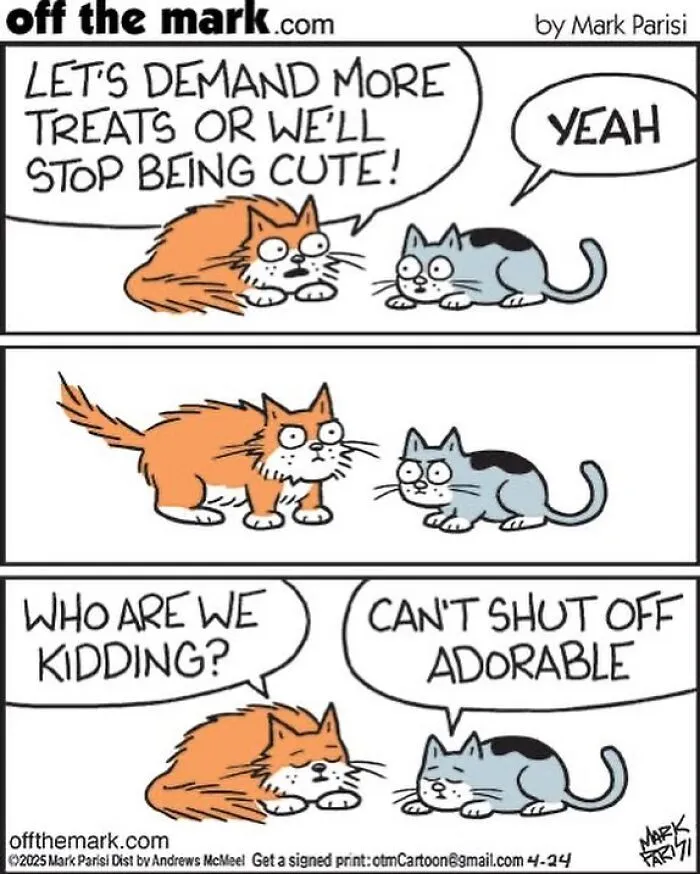 This Artist Sums Up Life With A Cat In His 23 New Funny Cartoons