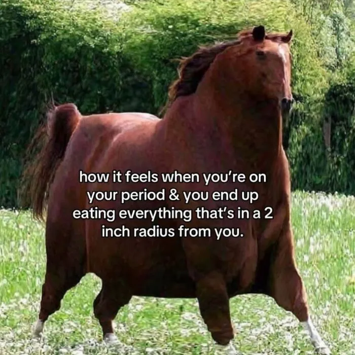 26 Random But Accurate Memes That Almost All Of Us Can Relate To Them