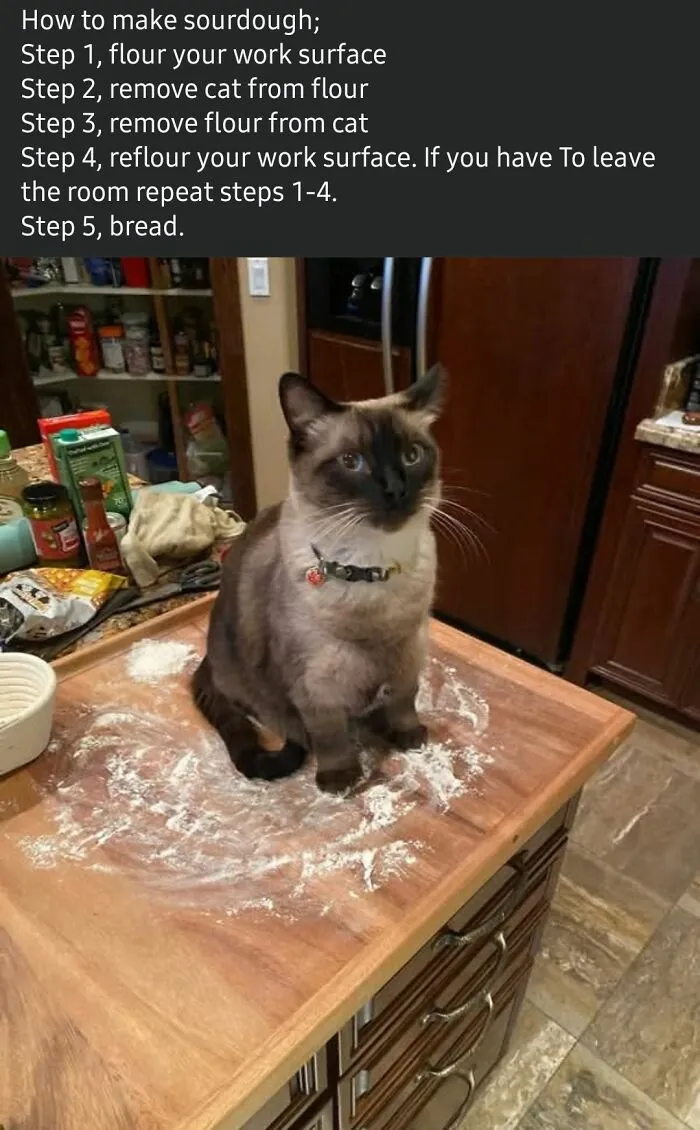 "This Is Why I Don't Do Potlucks": 50 Times Food Looked So Bad, People Just Had To Shame It (New Pics)