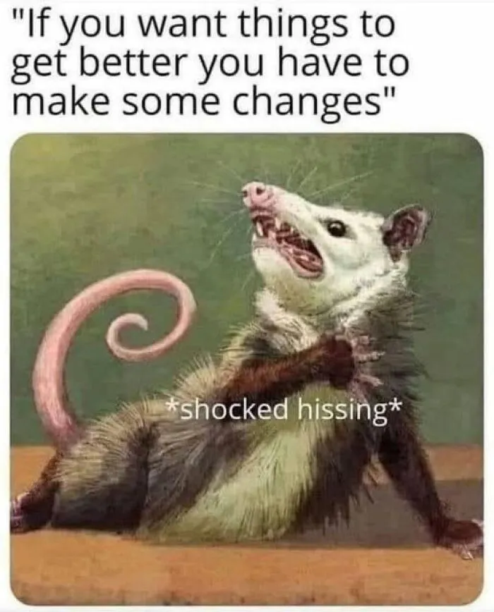 Possum looking shocked with caption about making changes, funny meme for daily laughs to improve your day.