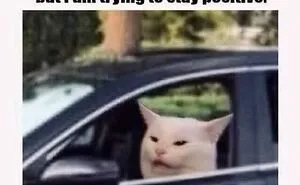 ‘The Daily Laughs’: 50 Ridiculously Good Memes To Improve Your Day