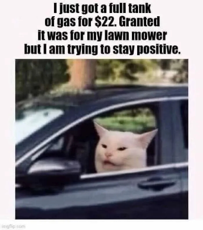 Memes-The-Daily-Laughs