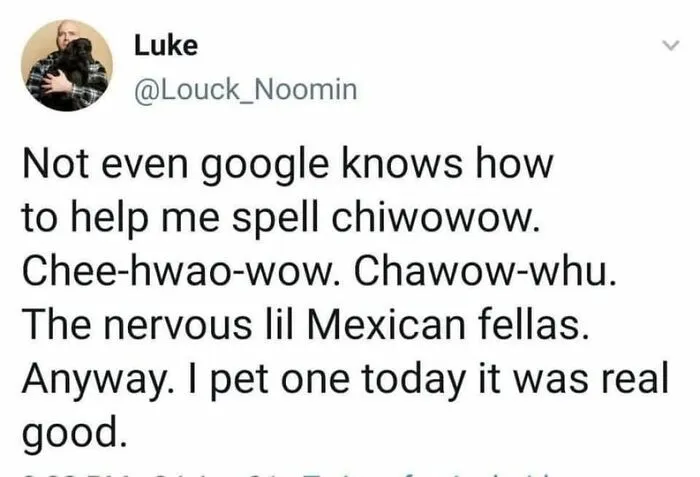 Tweet text humorously misspelling chipmunk while sharing a funny pet experience in memes to improve your day.