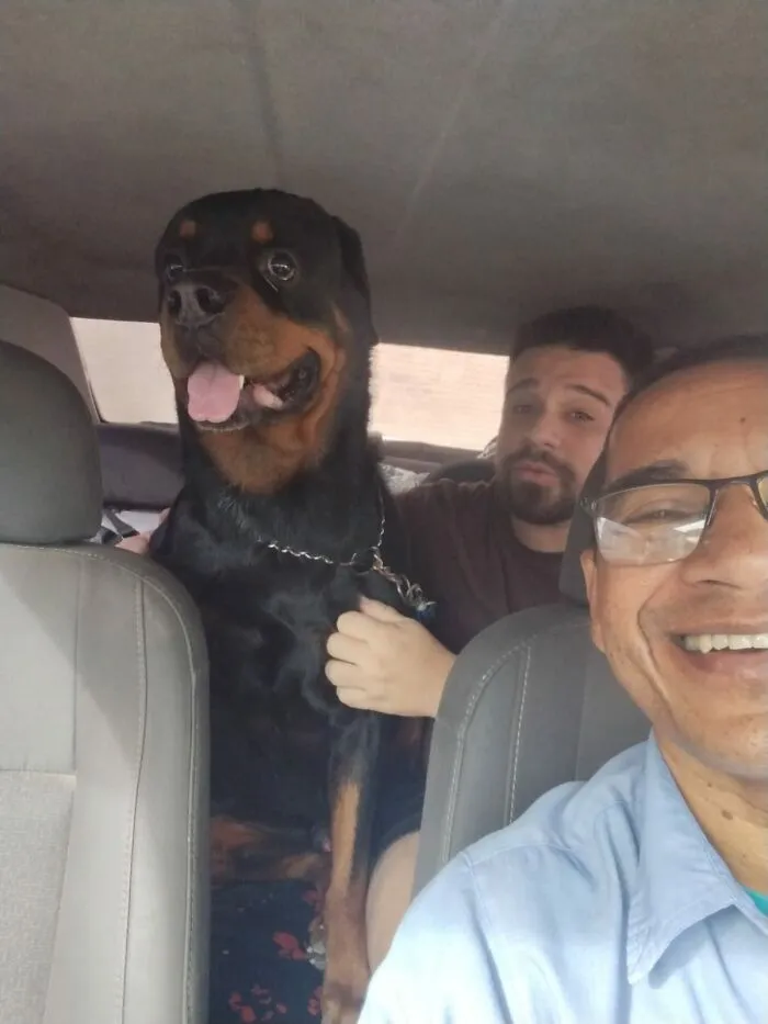 33 Times This “Pet Taxi” Driver Has Taken Cute Selfies With His Furry Customers (New Pics)