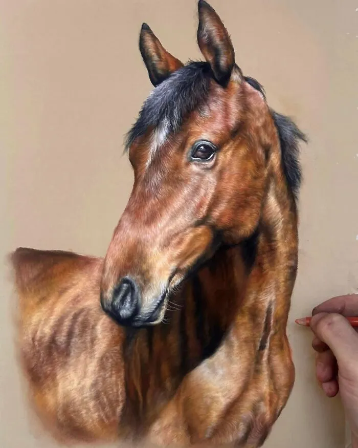Hyperrealistic Pencil Drawings: 40 Animal Portraits Done By The Talented Hanna Asfour