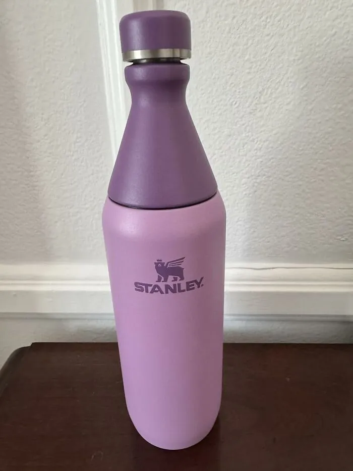 Your Festival Survival Kit Isn't Complete Without The <a Style="Display:inline;" Href="Https://Www.amazon.com/Stanley-Leakproof-Insulated-Stainless-BPA-Free/Dp/B0cyp5z4xk?ie=utf8&th=1&linkcode=ll1&tag=bponion-20&linkid=c5c3993f8028d54263995adc2ab793b0&language=en_us&ref_=as_li_ss_tl" Target="_blank"><span Style="Font: Inherit; Color: #d74b1f;"> Stanley All Day Slim Bottle</Span> That Keeps Your Drinks Cold And Your Energy Up From Stage To Stage