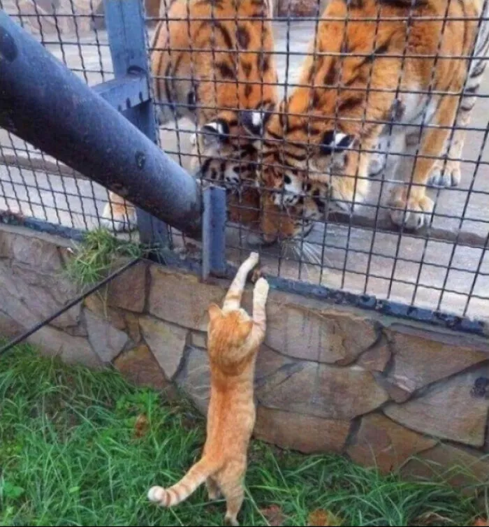 "Brothers! Help Me Enslave Humanity"