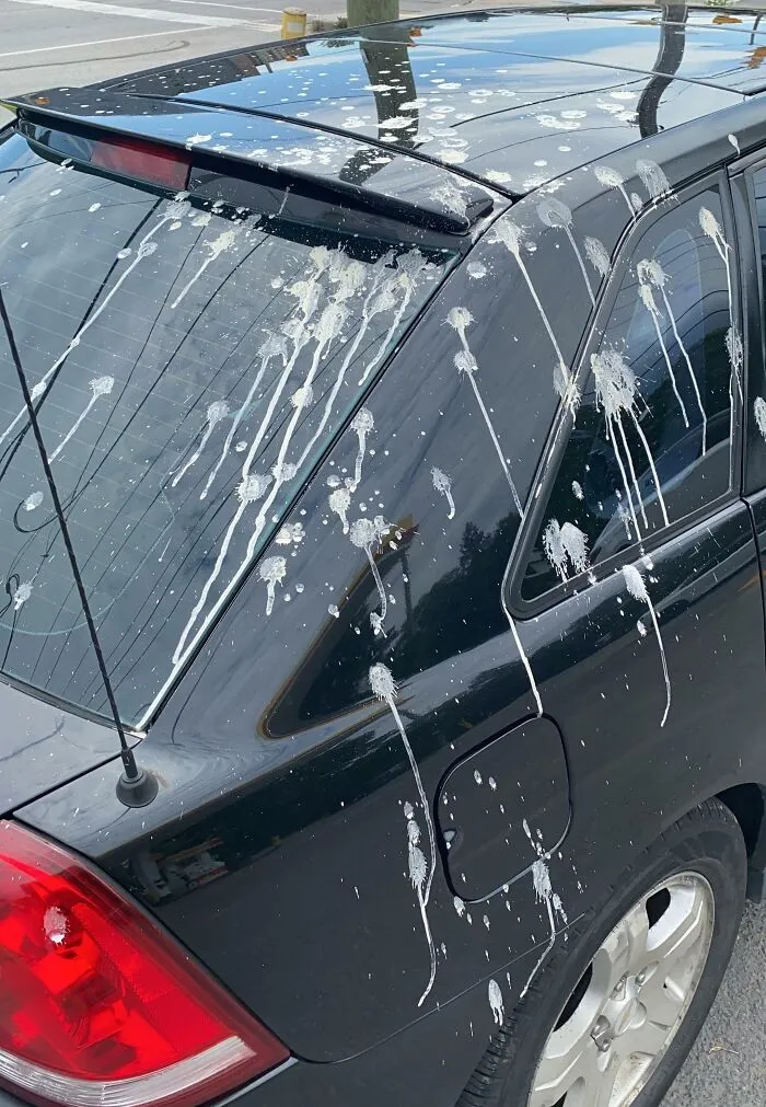 Acababa de salir del lavadero de coches hace media hora