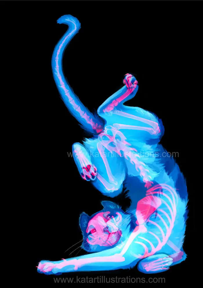 Artist Transforms Personal Experiences Into Colorful Illustrations (26 Pics)