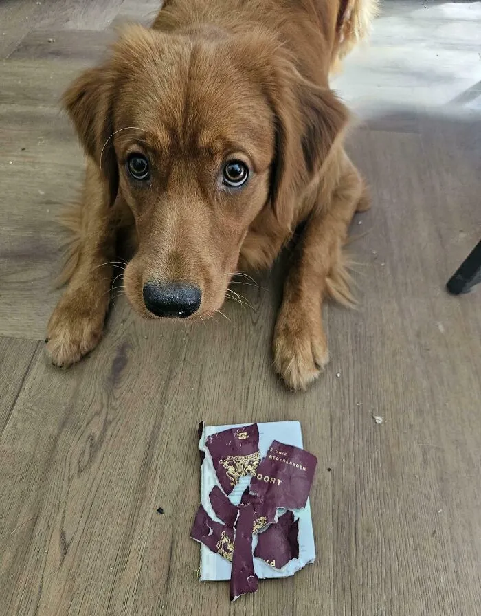 Tengo un vuelo internacional en 2 días