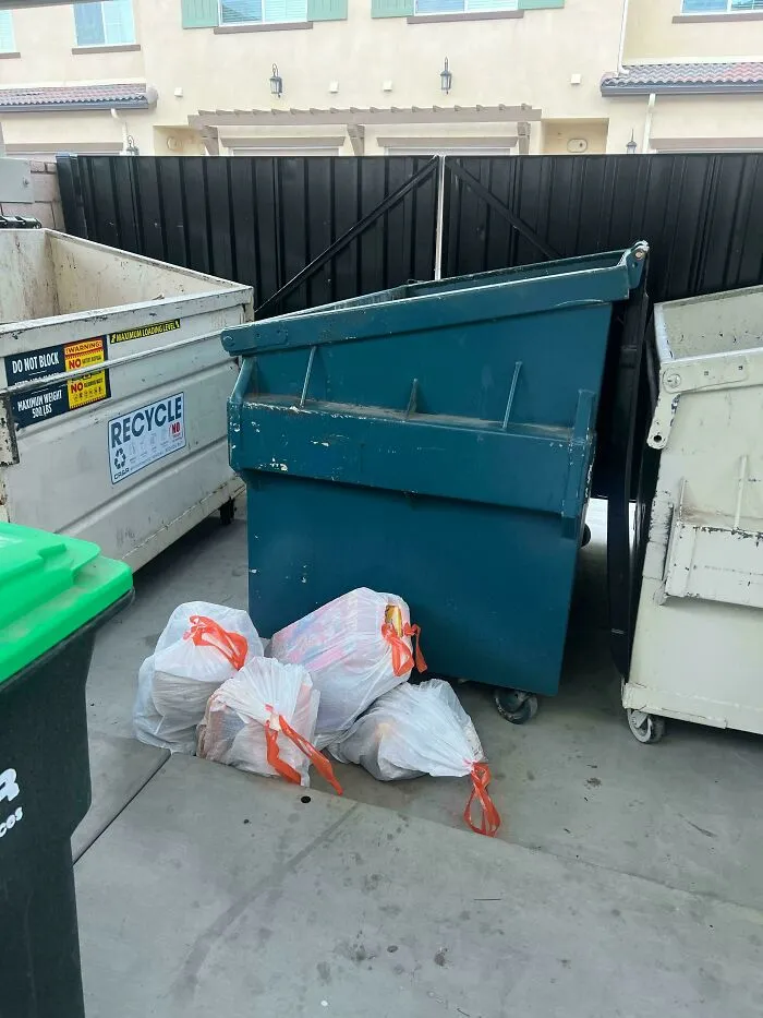 Someone Walked To The Trash Enclosure Just To Not Put Their Bags In The Bin