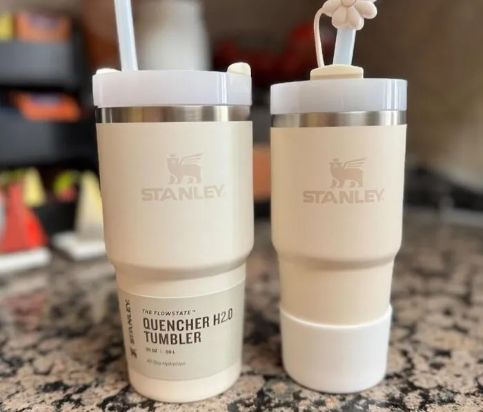 Add A Touch Of Pastel Perfection To Your Daily Routine With These Gorgeous <a Style="Display:inline;" Href="Https://Www.amazon.com/Flowstate-3-Position-Compatible-Insulated-Stainless/Dp/B0cx794vyp?ie=utf8&th=1&linkcode=ll1&tag=bpcoyote-20&linkid=4d0dea9bd2fda8bed97ebea403353cde&language=en_us&ref_=as_li_ss_tl" Target="_blank"><span Style="Font: Inherit; Color: #d74b1f;"> Pastel Stanley Cups</Span>