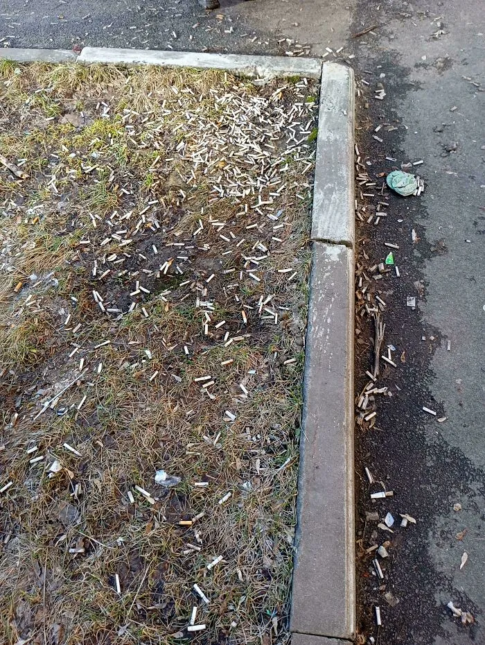 These Are All Cigarette Butts