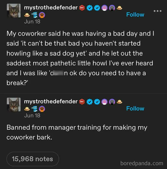 Social media post humorously describing coworker's day and a funny exchange about howling like a sad dog.