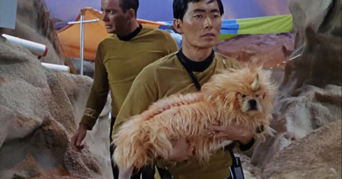 That's A Dog