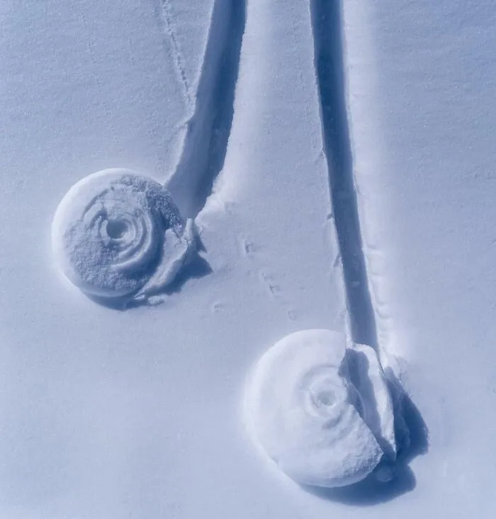 Estas son señales de la naturaleza de que se incrementa el riesgo de avalancha