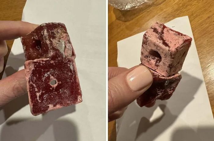 El perro ha traido esto de la calle