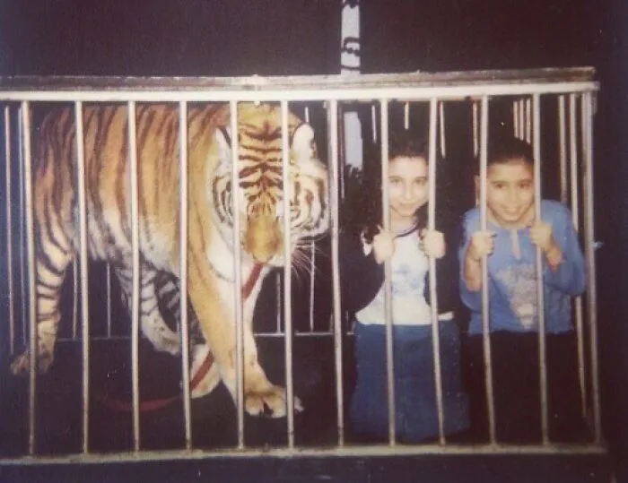 Niños sonrientes posan junto a un tigre en una jaula, sin darse cuenta del peligro.