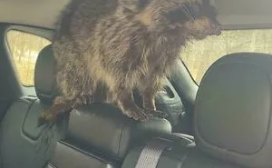 50 Times People Took A Pic Of Something Without Fully Realizing Just How Dangerous It Was