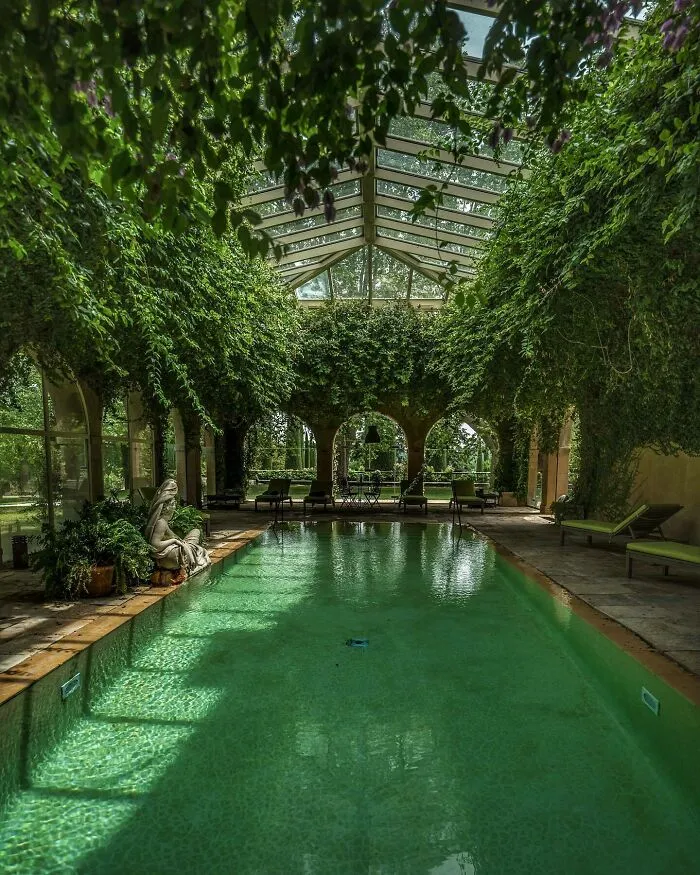Indoor Pool Covered With Overgrown Vegetation At Château De Sannes, A 17th Century Estate Now Used As A Holiday Resort In The Luberon, Central Provence, Southern France