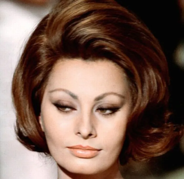 Elegant vintage hairstyle showcasing voluminous waves from yesteryear.