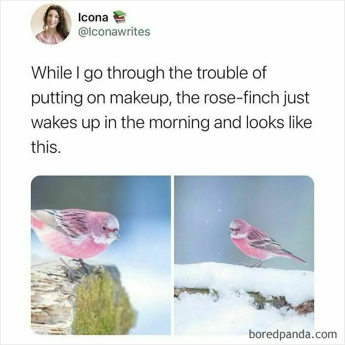 50 Memes That Prove Millennials Have The Best Sense Of Humor
