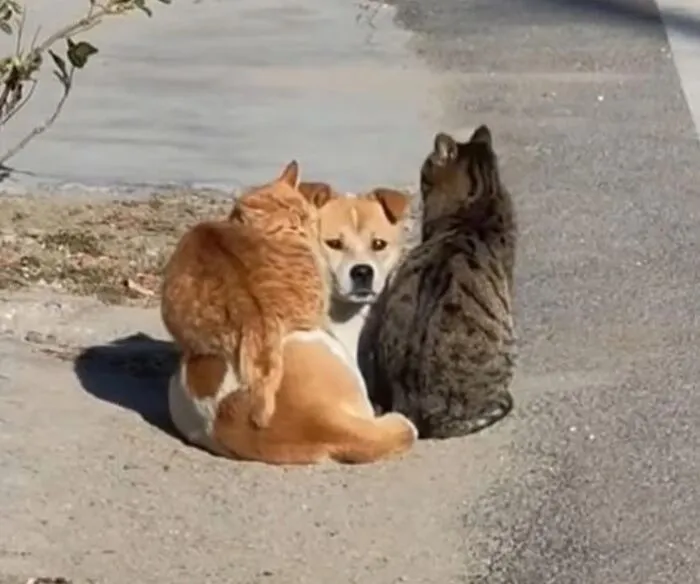 30 Random Images That Don’t Need To Make Sense To Be Funny