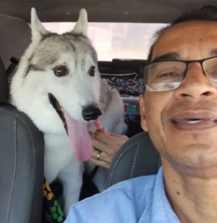 33 Times This “Pet Taxi” Driver Has Taken Cute Selfies With His Furry Customers (New Pics)