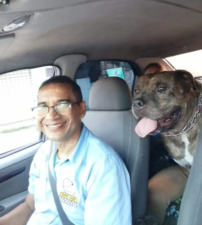 33 Times This “Pet Taxi” Driver Has Taken Cute Selfies With His Furry Customers (New Pics)