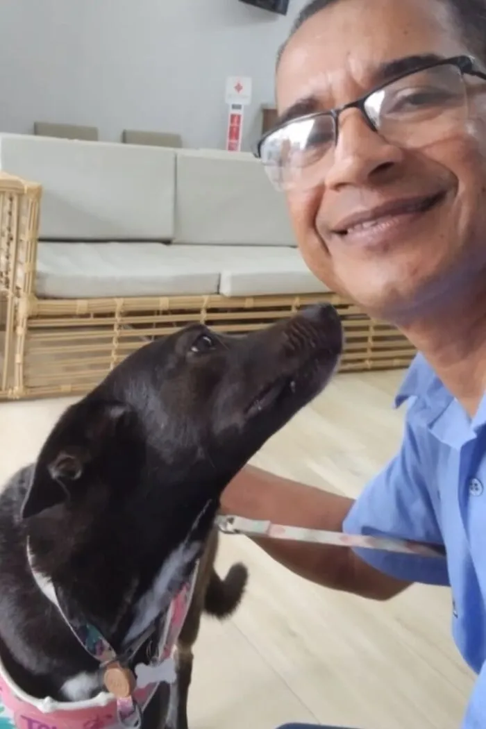 33 Times This “Pet Taxi” Driver Has Taken Cute Selfies With His Furry Customers (New Pics)