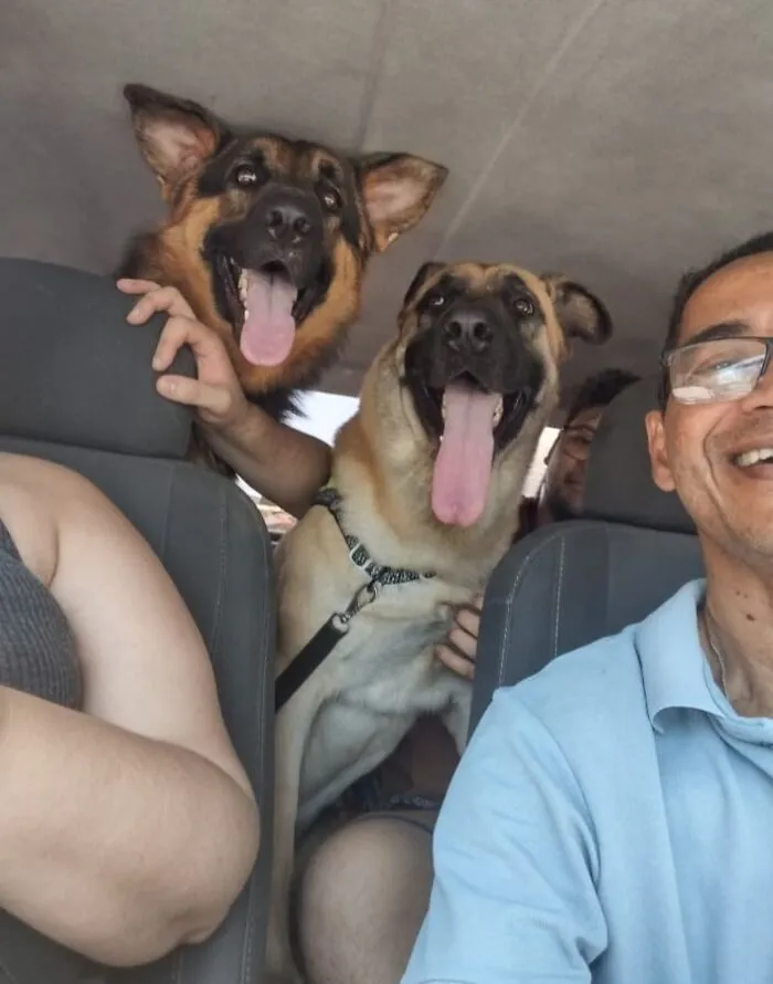 33 Times This “Pet Taxi” Driver Has Taken Cute Selfies With His Furry Customers (New Pics)