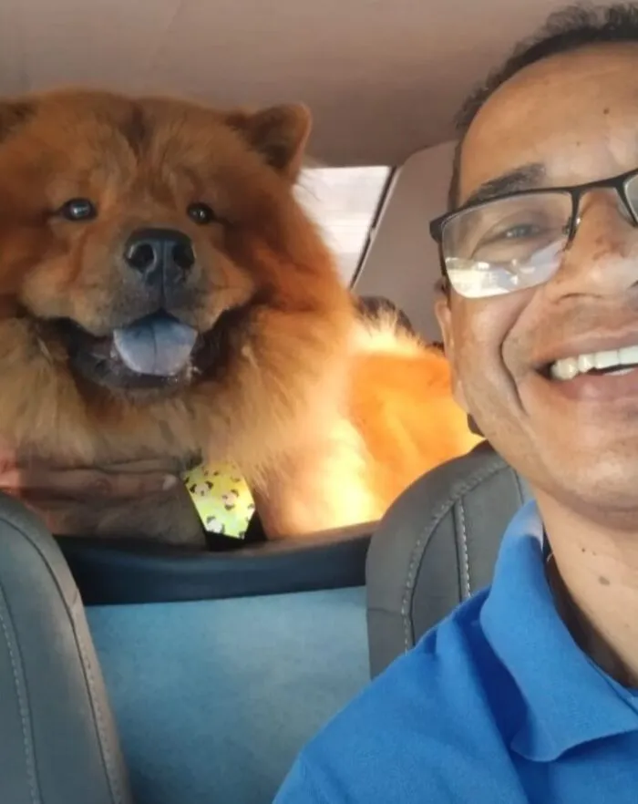 33 Times This “Pet Taxi” Driver Has Taken Cute Selfies With His Furry Customers (New Pics)