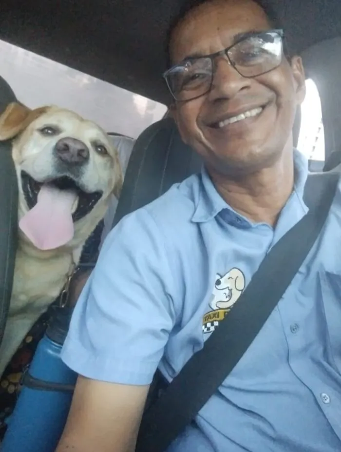 33 Times This “Pet Taxi” Driver Has Taken Cute Selfies With His Furry Customers (New Pics)