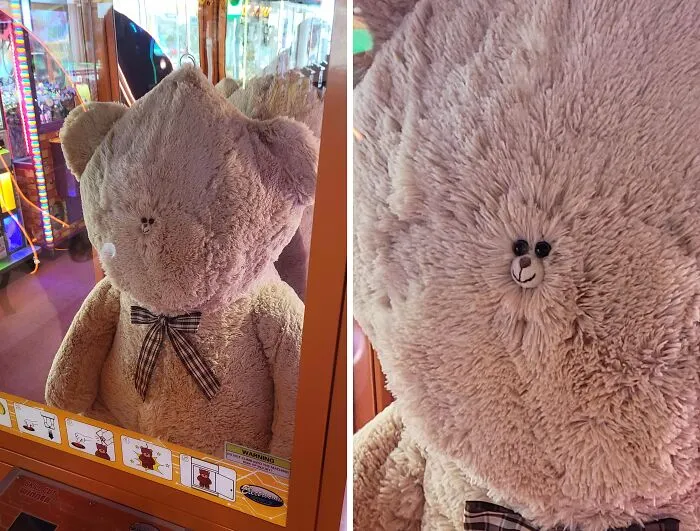 This Ridiculous Giant Teddy Bear With A Tiny Face