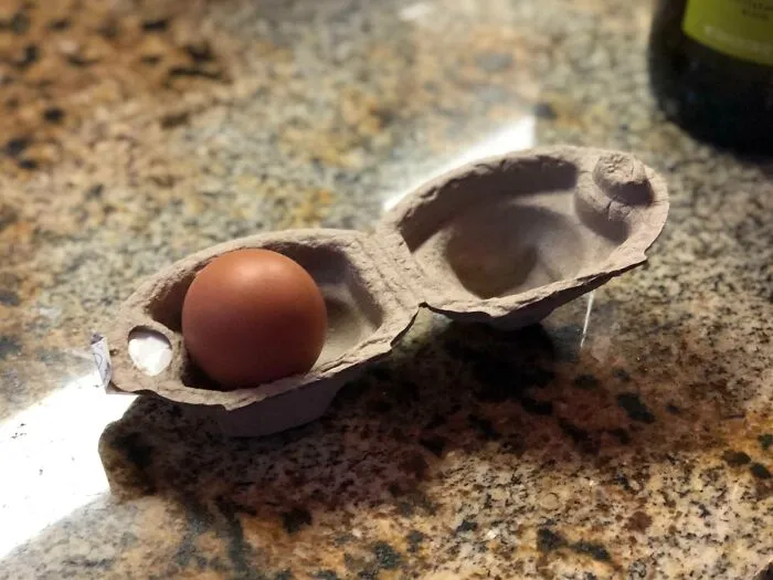 A Single Egg Carton