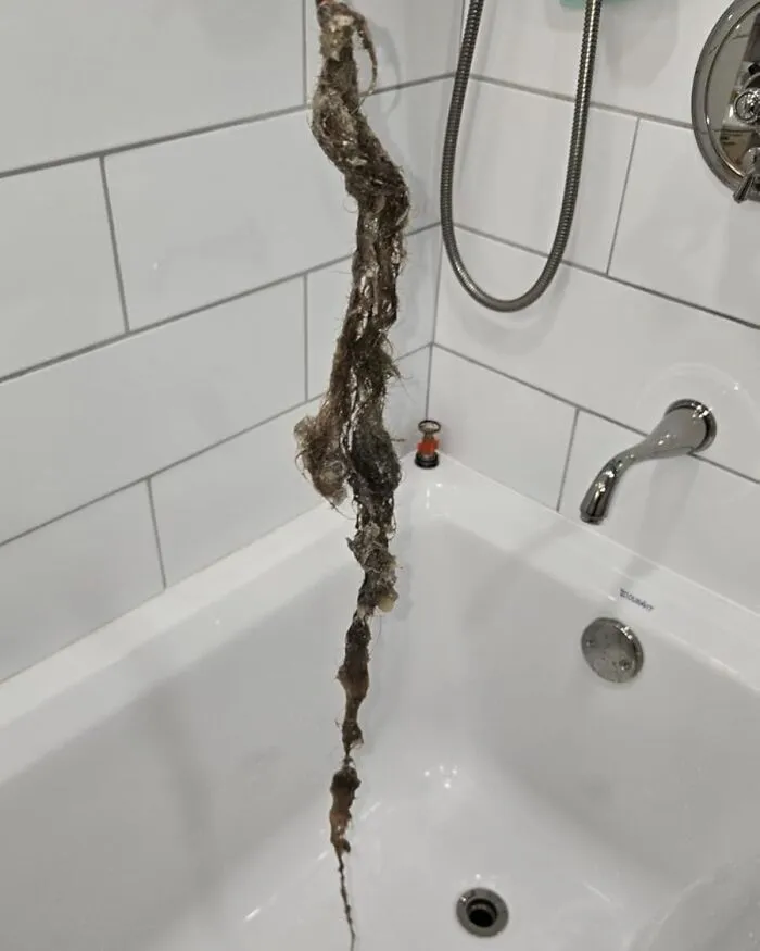 Unclogging Your Shower Drain Just Became Self Care, Trust Me, With The <a Style="Display:inline;" Href="Https://Www.amazon.com/Flexisnake-Drain-Weasel-Sink-Snake/Dp/B01nb0729g?ie=utf8&th=1&linkcode=ll1&tag=bpwolf-20&linkid=597b4e1c94ac00748e2a34eb91a49ec5&language=en_us&ref_=as_li_ss_tl" Target="_blank"><span Style="Font: Inherit; Color: #d74b1f;"> Drain Snake</Span>