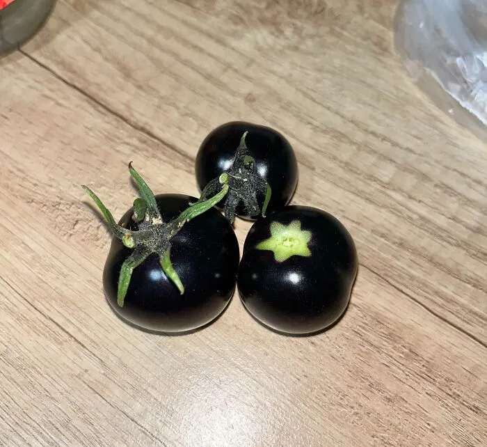 My Grandfather Grew Black Tomatoes