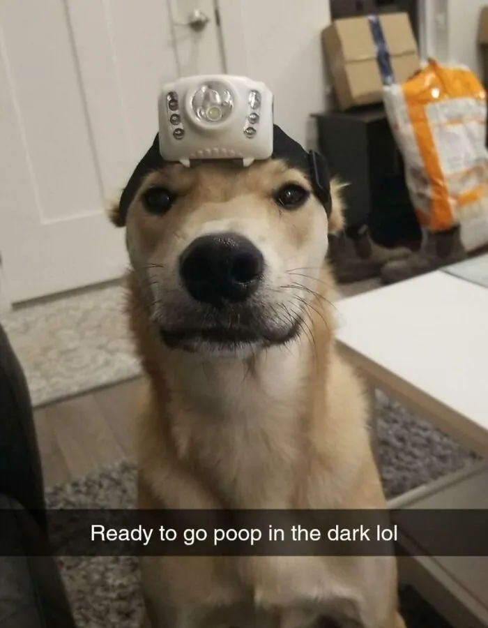 What My Husband Sends Me While I'm At Work