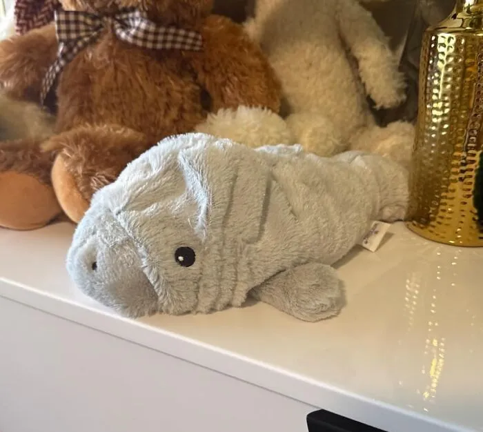 Cuddle Up With The Absurdly Adorable <a Style="Display:inline;" Href="Https://Www.amazon.com/Intelex-Warmies-Microwavable-Lavender-Scented/Dp/B07vtxctvc?ie=utf8&linkcode=ll1&tag=bppeacock-20&linkid=7d014d0db377c0221cb35577a7bf653d&language=en_us&ref_=as_li_ss_tl" Target="_blank"><span Style="Font: Inherit; Color: #d74b1f;"> Microwavable & Weighted Stuffed Manatee</Span>, A Snuggly, Squishy, And Inexplicably Soothing Companion That Will Provide You With Warmth, Comfort, And A Dash Of "What The Heck Is This Thing?" Weirdness