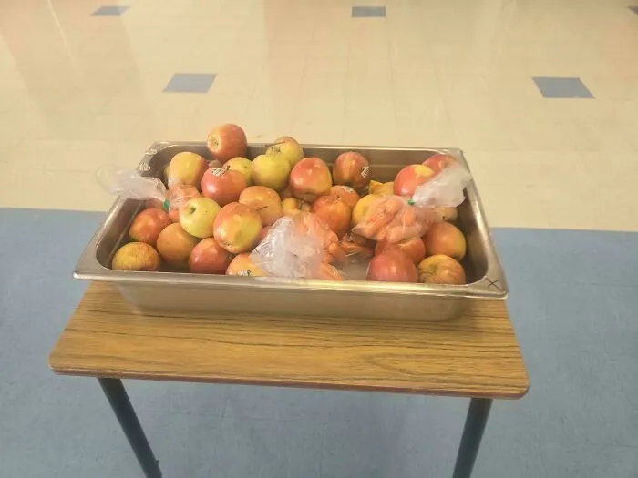 Genuinely Cool Thing My School Does. This Bin Has Ice On The Bottom So Any Student That Don't Want Their Fruit That Is Mandatory To Grab With Lunch Can Be Put Into A Cold Area 