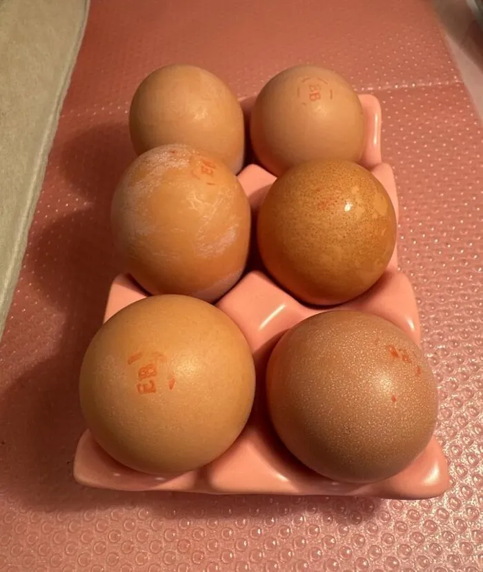 Turn On The Cottage Core The Charm With A <a Style="Display:inline;" Href="Https://Www.amazon.com/Urwoow-Ceramic-Tray-Holder-Pink/Dp/B092h26snv?ie=utf8&th=1&linkcode=ll1&tag=bpbee-20&linkid=07df8f31632fec0a25034d1842c5fd1b&language=en_us&ref_=as_li_ss_tl" Target="_blank"><span Style="Font: Inherit; Color: #d74b1f;"> Ceramic Egg Tray </Span> That's A Decorating Dream Come True