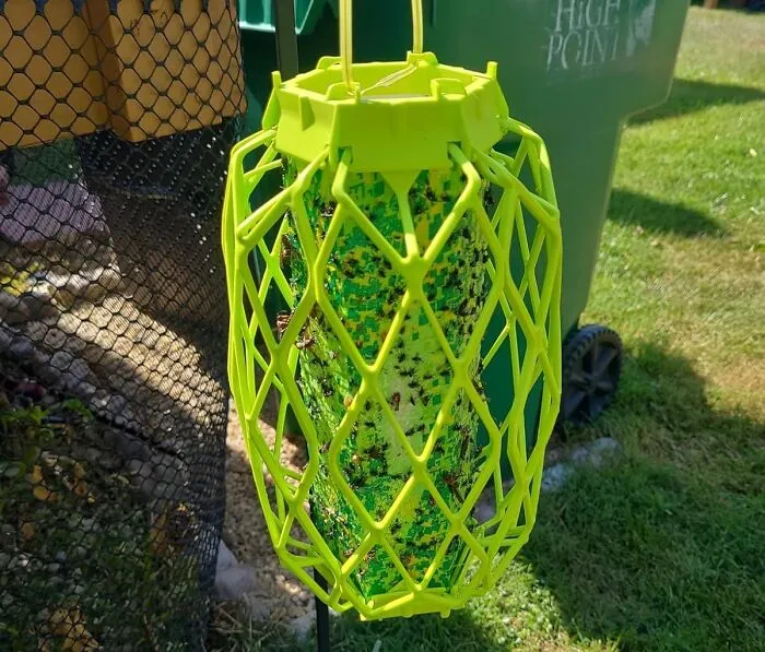 When Wasps Crash The Party, The <a Style="Display:inline;" Href="Https://Www.amazon.com/Rescue-Trapstik-Wasps-Bird-Guard/Dp/B07rt23skn?ie=utf8&linkcode=ll1&tag=bpwoodpecker-20&linkid=528d5b72185adc900b4e890b7abcfb09&language=en_us&ref_=as_li_ss_tl" Target="_blank"><span Style="Font: Inherit; Color: #d74b1f;"> Visilure Trapstik For Wasps </Span>  Is The Ultimate Buzzkill 