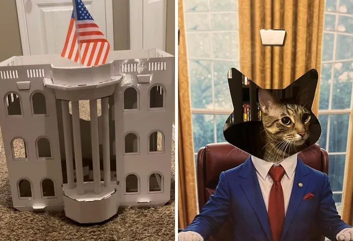 The Purr-Fect Abode For The Feline Commander-In-Chief, The <a Style="Display:inline;" Href="Https://Www.amazon.com/White-Cardboard-House-Scratching-Cats/Dp/B0d6s3fsk4?ie=utf8&linkcode=ll1&tag=bplion-20&linkid=adc78475024db3b3f83de484850eb3a7&language=en_us&ref_=as_li_ss_tl" Target="_blank"><span Style="Font: Inherit; Color: #d74b1f;"> Cardboard White House For Cats </Span> Is The Ultimate Symbol Of Feline Power And Supremacy (And A Great Place To Nap, Of Course)