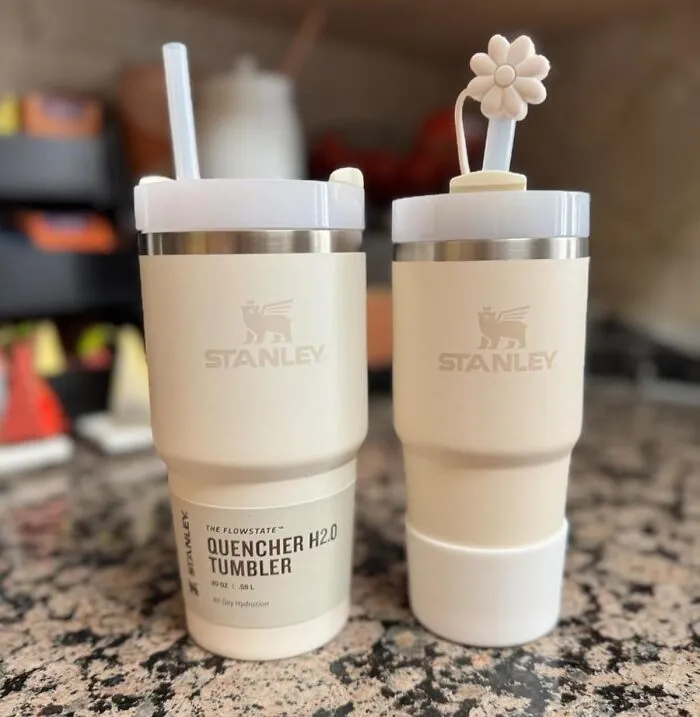 The <a Style="Display:inline;" Href="Https://Www.amazon.com/Flowstate-3-Position-Compatible-Insulated-Stainless/Dp/B0cx794vyp?ie=utf8&th=1&linkcode=ll1&tag=bphamster-20&linkid=8b6cc89d74e36e9314f8f4d6784365ba&language=en_us&ref_=as_li_ss_tl" Target="_blank"><span Style="Font: Inherit; Color: #d74b1f;"> Stanley Quencher </Span> Is More Than Just A Water Bottle - It's A Status Symbol For The Perpetually Hydrated And A Gentle Reminder To Drink More Water 