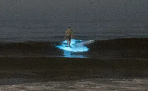 50 Unexpected Ocean Moments That Might Freak You Out