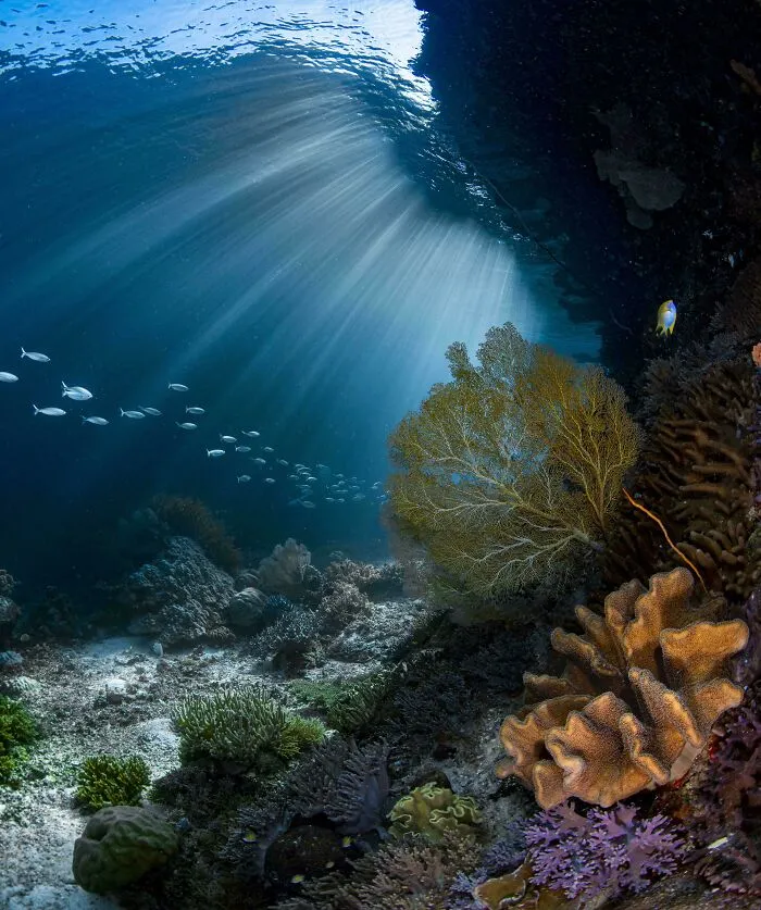 Indonesian Seascape