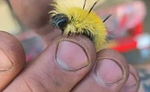 50 Times People Took A Pic Of Something Without Fully Realizing Just How Dangerous It Was